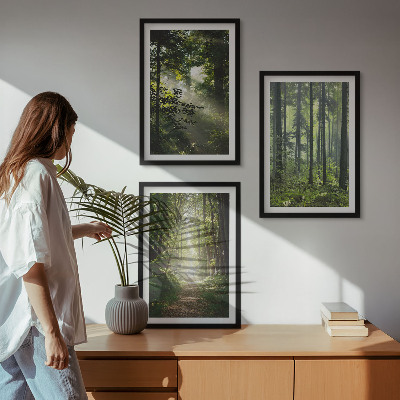 Set di quadri incorniciati Foreste verdi con raggi di luce