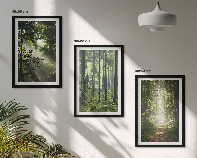 Set di quadri incorniciati Foreste verdi con raggi di luce