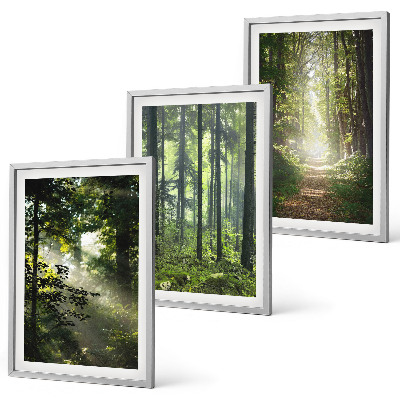 Set di quadri incorniciati Foreste verdi con raggi di luce