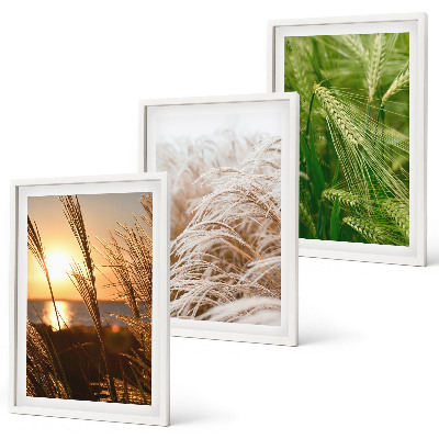 Set di 3 quadri Natura colorata e ricca di erbe