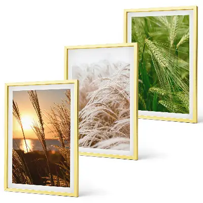 Set di 3 quadri con natura colorata e ricca di erbe