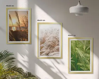 Set di 3 quadri con natura colorata e ricca di erbe