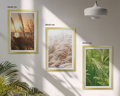 Set di 3 quadri Natura colorata e ricca di erbe