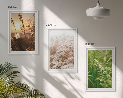 Set di 3 quadri Natura colorata e ricca di erbe