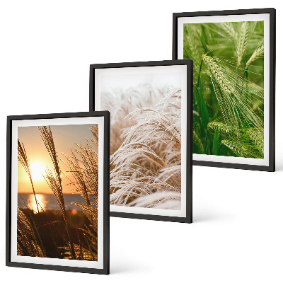 Set di 3 quadri Natura colorata e ricca di erbe