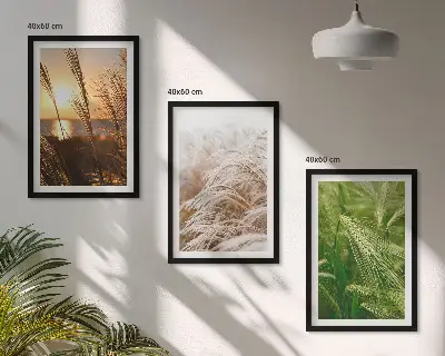 Set di 3 quadri con natura colorata e ricca di erbe