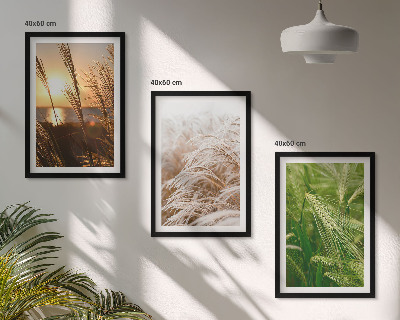 Set di 3 quadri Natura colorata e ricca di erbe