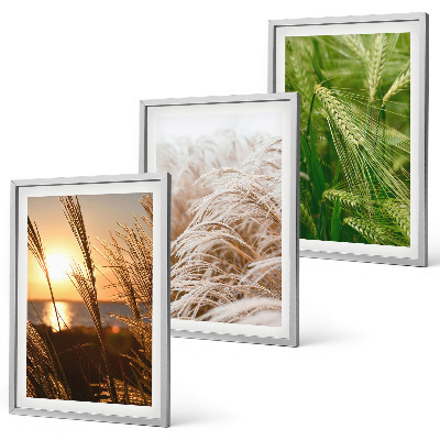 Set di 3 quadri Natura colorata e ricca di erbe