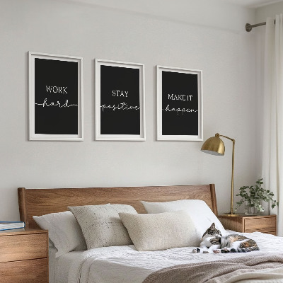 Set di 3 quadri Motivi eleganti su sfondo nero