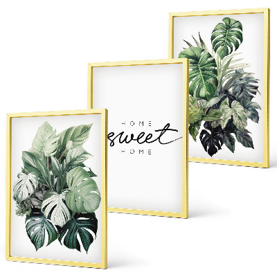 Set di quadri incorniciati Piante con la scritta Sweet Home