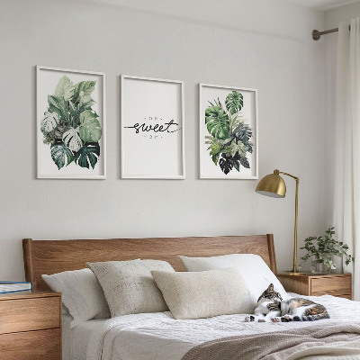 Set di quadri incorniciati Piante con la scritta Sweet Home