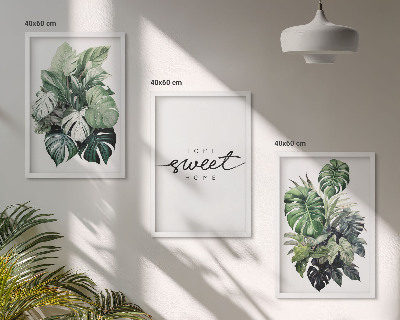 Set di quadri incorniciati Piante con la scritta Sweet Home