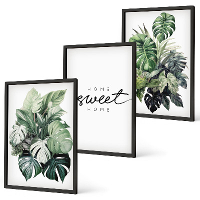Set di quadri incorniciati Piante con la scritta Sweet Home