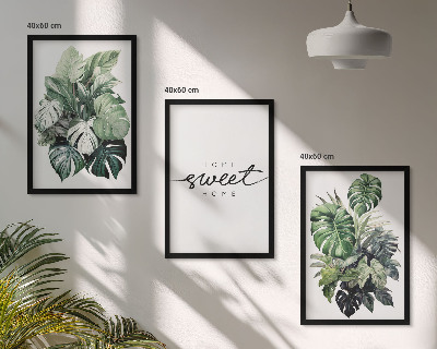 Set di quadri incorniciati Piante con la scritta Sweet Home