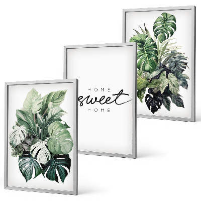 Set di quadri incorniciati Piante con la scritta Sweet Home