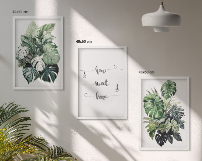 Composizione di quadri Foglie di Monstera ad acquerello