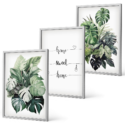 Composizione di quadri Foglie di Monstera ad acquerello