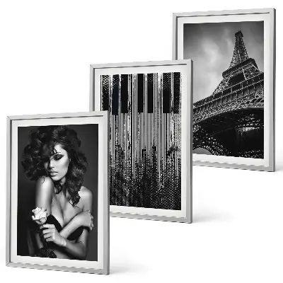 Ritratto di una donna con una rosa Eiffel set di 3 quadri