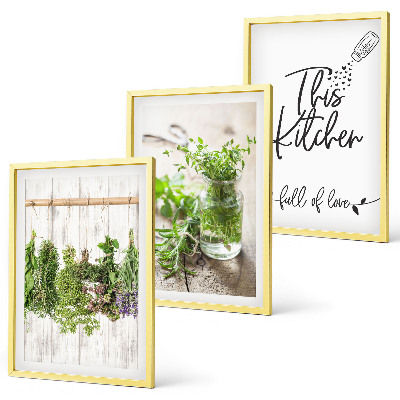 Set di 3 quadri Tema cucina con erbe aromatiche essiccate