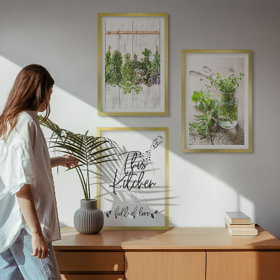 Set di 3 quadri Tema cucina con erbe aromatiche essiccate