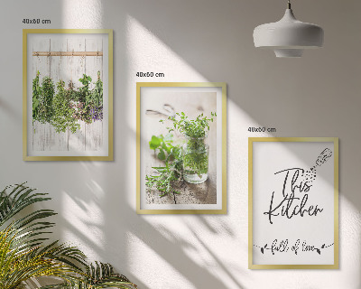 Set di 3 quadri Tema cucina con erbe aromatiche essiccate