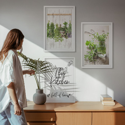 Set di 3 quadri Tema cucina con erbe aromatiche essiccate
