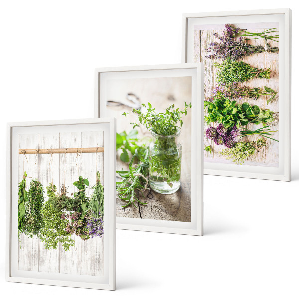Set di quadri incorniciati Piante aromatiche per la cucina