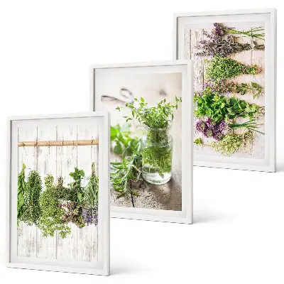 Set di quadri incorniciati con piante aromatiche per la cucina