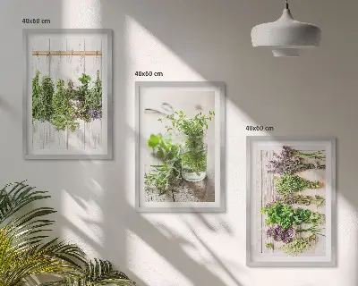 Set di quadri incorniciati con piante aromatiche per la cucina