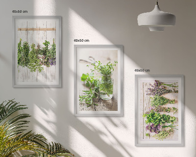 Set di quadri incorniciati Piante aromatiche per la cucina