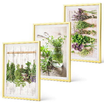 Set di quadri incorniciati Piante aromatiche per la cucina