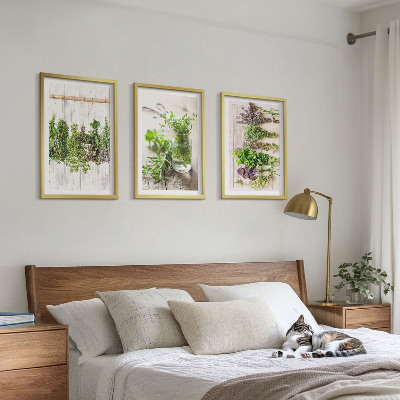 Set di quadri incorniciati Piante aromatiche per la cucina