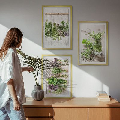 Set di quadri incorniciati Piante aromatiche per la cucina