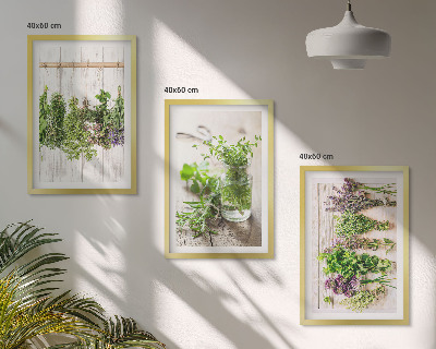 Set di quadri incorniciati Piante aromatiche per la cucina
