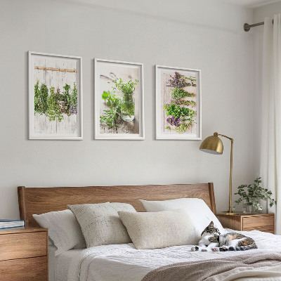 Set di quadri incorniciati Piante aromatiche per la cucina