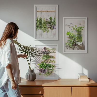 Set di quadri incorniciati Piante aromatiche per la cucina