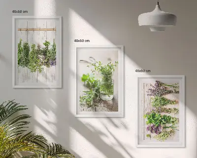 Set di quadri incorniciati con piante aromatiche per la cucina