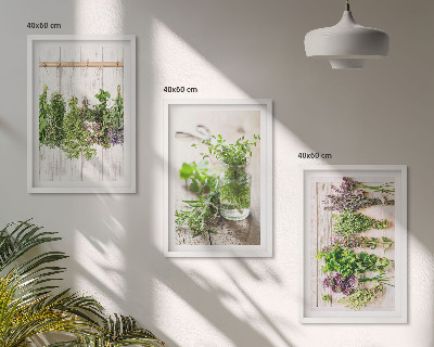 Set di quadri incorniciati Piante aromatiche per la cucina