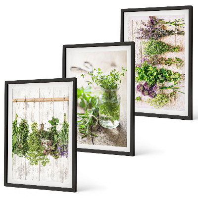 Set di quadri incorniciati Piante aromatiche per la cucina