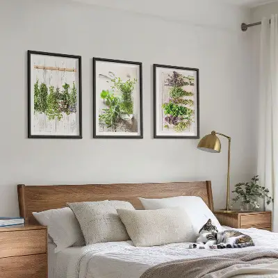 Set di quadri incorniciati con piante aromatiche per la cucina