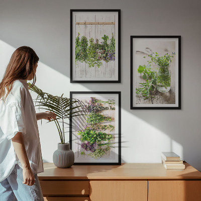 Set di quadri incorniciati Piante aromatiche per la cucina