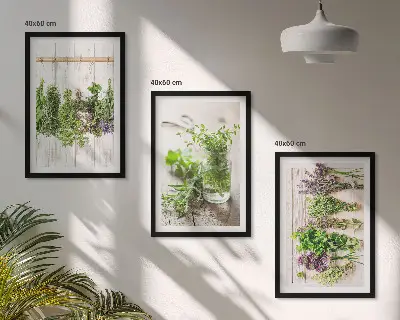 Set di quadri incorniciati con piante aromatiche per la cucina