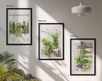 Set di quadri incorniciati Piante aromatiche per la cucina