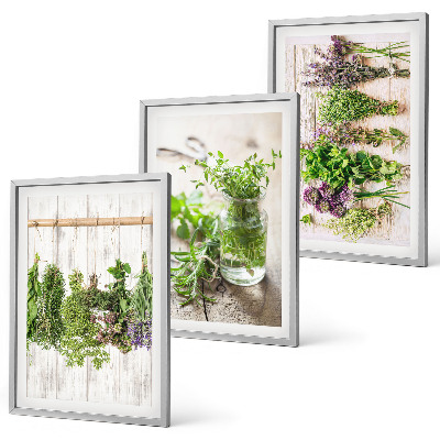 Set di quadri incorniciati Piante aromatiche per la cucina