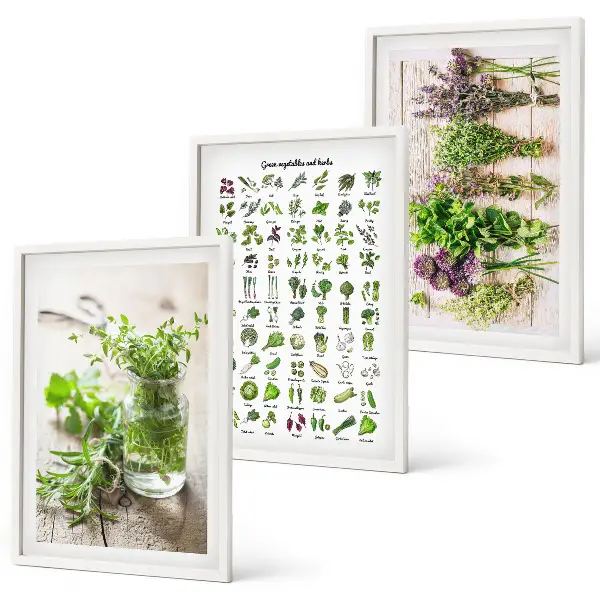 Set di 3 quadri con erbe aromatiche essiccate per la cucina