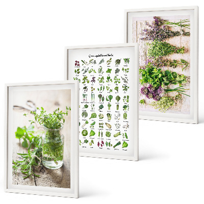 Set di 3 quadri Erbe aromatiche essiccate per la cucina
