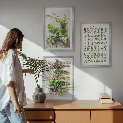 Set di 3 quadri con erbe aromatiche essiccate per la cucina
