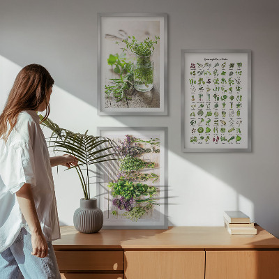 Set di 3 quadri Erbe aromatiche essiccate per la cucina