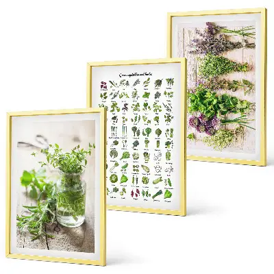 Set di 3 quadri con erbe aromatiche essiccate per la cucina