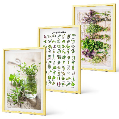 Set di 3 quadri Erbe aromatiche essiccate per la cucina